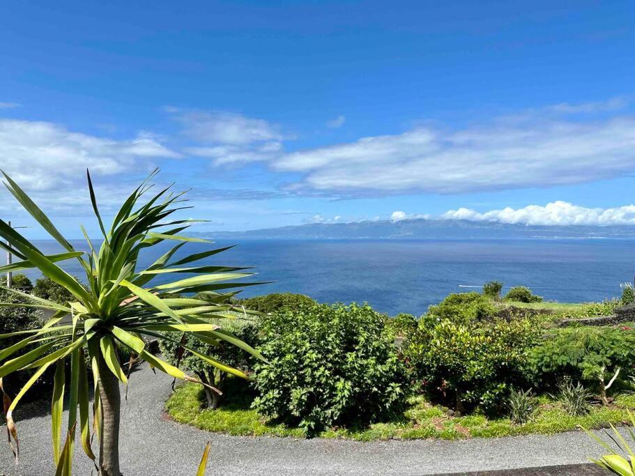 Vila Casa Da Terra Alta Santo Amaro  Exteriér fotografie